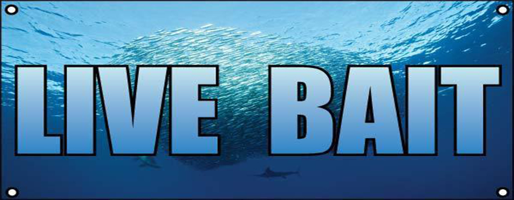 BAIT SHOP CAPE CORAL
